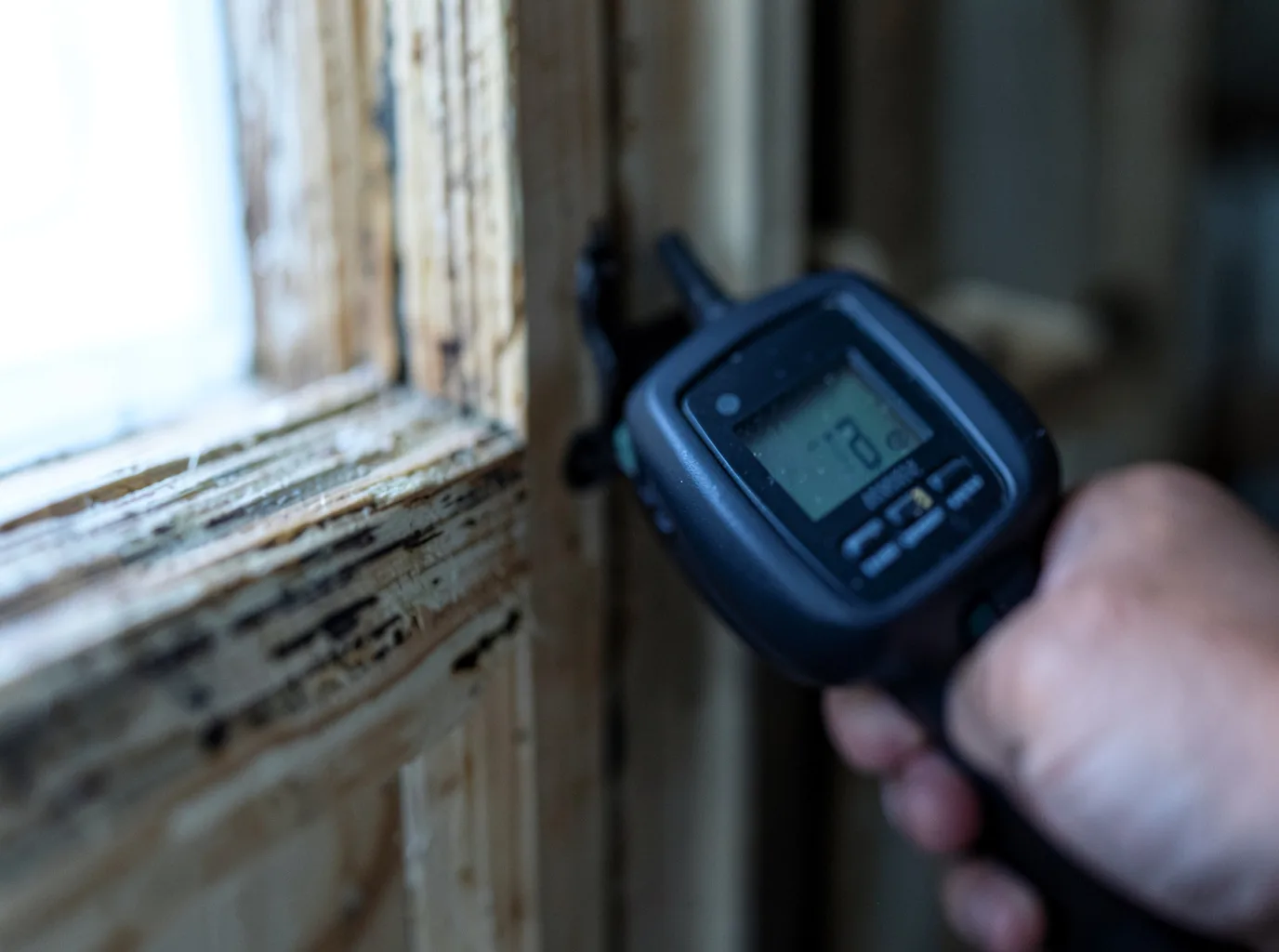Moisture Inspection And Documentation in Artesia, NM